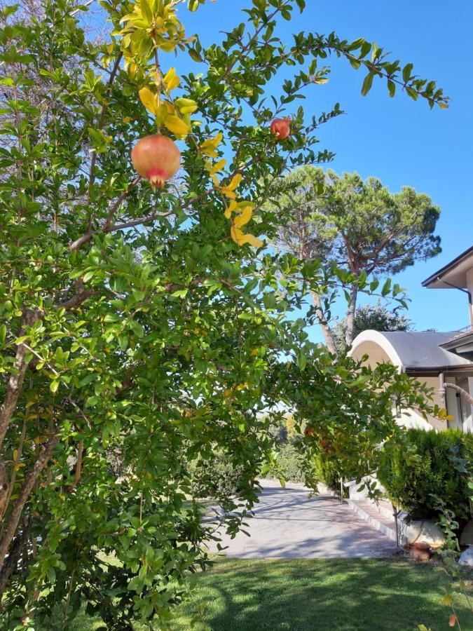 Hotel Panorama San Valentino in Abruzzo Citeriore Dış mekan fotoğraf